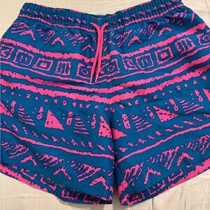 Men’s Chubbies Swim Trunks